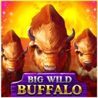 game logo by Belatra Games on bigboost-casino.eu.com